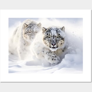 Snow Leopard Animal Nature Majestic Wild Posters and Art